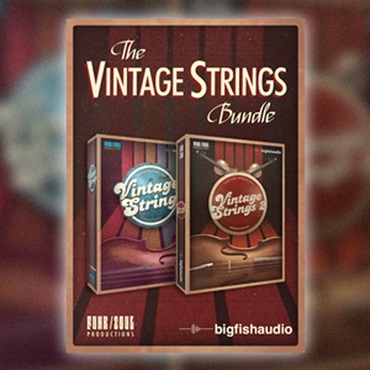 BIG FISH AUDIO VINTAGE STRINGS BUNDLE(オンライン納品)(2時間以内に納品)