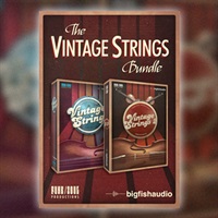 VINTAGE STRINGS BUNDLE(オンライン納品)(2時間以内に納品)