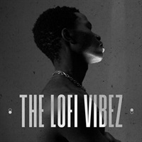 THE LOFI VIBEZ(オンライン納品)(2時間以内に納品)