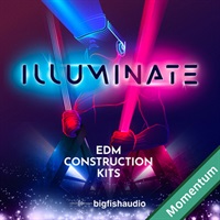 ILLUMINATE - EDM CONSTRUCTION KITS(オンライン納品)(2時間以内に納品)