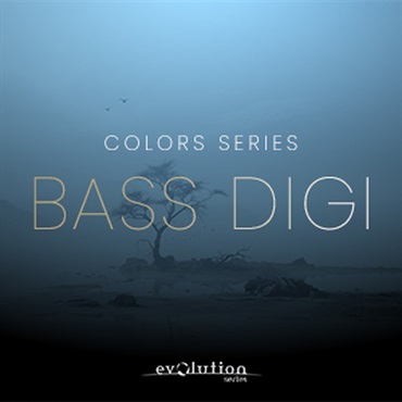 EVOLUTION SERIES WORLD COLORS BASS DIZI(オンライン納品)(2時間以内に納品)