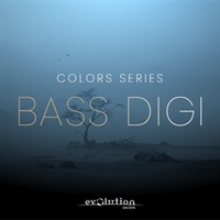 WORLD COLORS BASS DIZI(オンライン納品)(2時間以内に納品)