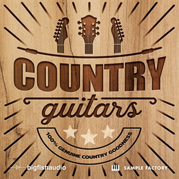 BIG FISH AUDIO COUNTRY GUITARS(オンライン納品)(2時間以内に納品)