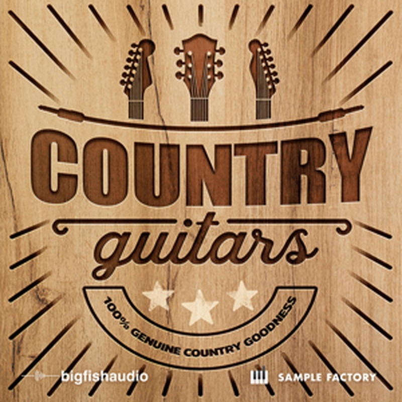 BIG FISH AUDIO COUNTRY GUITARS(オンライン納品)(2時間以内に