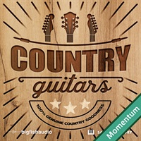 COUNTRY GUITARS(オンライン納品)(2時間以内に納品)
