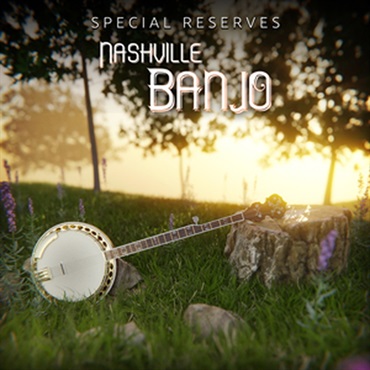 IMPACT SOUNDWORKS NASHVILLE BANJO(オンライン納品)(2時間以内に納品)