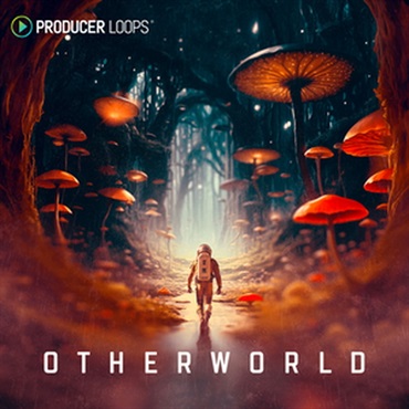 OTHERWORLD(オンライン納品)(2時間以内に納品)