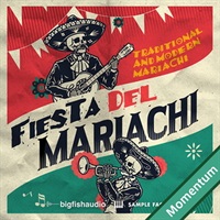 FIESTA DEL MARIACHI(オンライン納品)(2時間以内に納品)