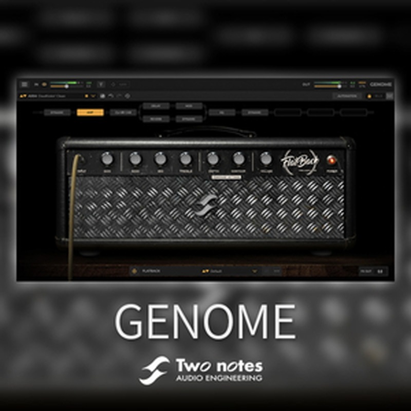 Two Notes GENOME(オンライン納品)(2時間以内に納品)