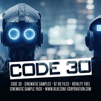 CODE 30 - CINEMATIC SAMPLES(オンライン納品)(2時間以内に納品)