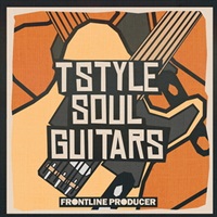 T STYLE SOUL GUITARS(オンライン納品)(2時間以内に納品)