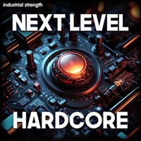NEXT LEVEL HARDCORE(オンライン納品)(2時間以内に納品)
