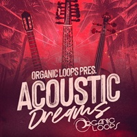 ACOUSTIC DREAMS(オンライン納品)(2時間以内に納品)