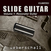 SLIDE GUITAR(オンライン納品)(2時間以内に納品)