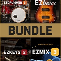 EZ LINE BUNDLE(オンライン納品)(2時間以内に納品)