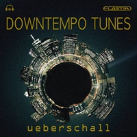 DOWNTEMPO TUNES(オンライン納品)(2時間以内に納品)