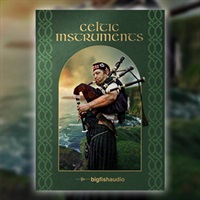 CELTIC INSTRUMENTS(オンライン納品)(2時間以内に納品)