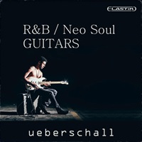 RNB NEO SOUL GUITARS(オンライン納品)(2時間以内に納品)
