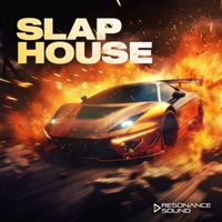 SLAP HOUSE(オンライン納品)(2時間以内に納品)