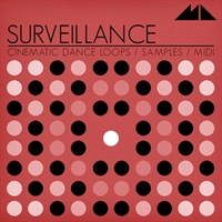 SURVEILLANCE(オンライン納品)(2時間以内に納品)