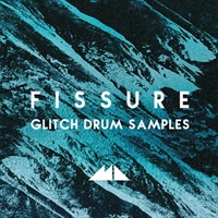 FISSURE(オンライン納品)(2時間以内に納品)