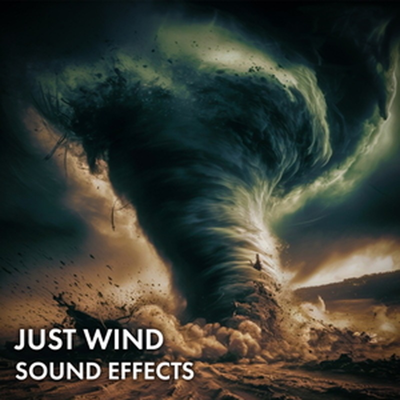 SOUND IDEAS JUST WIND SOUND EFFECTS(オンライン納品)(2時間以内に納品)