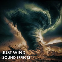 JUST WIND SOUND EFFECTS(オンライン納品)(2時間以内に納品)