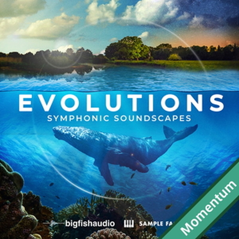 BIG FISH AUDIO EVOLUTIONS - SYMPHONIC SOUNDSCAPES(オンライン納品)(2時間以内に納品)