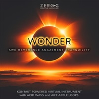 WONDER(オンライン納品)(2時間以内に納品)