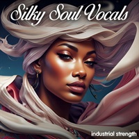 SILKY SOUL VOCALS(オンライン納品)(2時間以内に納品)