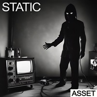 STATIC - ASSET(オンライン納品)(2時間以内に納品)