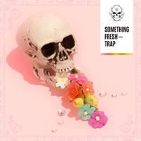 【デジノイズTRAP系の厳選音源が約50%OFF！】SOMETHING FRESH - TRAP(オンライン納品)(2時間以内に納品)