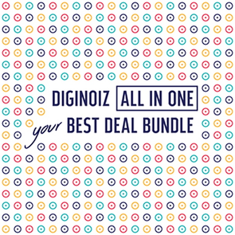 DIGINOIZ DIGINOIZ COMPLETE BUNDLE 2024 BLACK FRIDAY(オンライン納品)(2時間以内に納品)