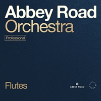 【11日間限定最大半額セール！】ABBEY ROAD ORCHESTRA: FLUTES PROFESSIONAL(オンライン納品)(2時間以内に納品)