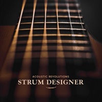 STRUM DESIGNER(オンライン納品)(2時間以内に納品)