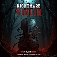 NIGHTMARE VIOLIN(オンライン納品)(2時間以内に納品)
