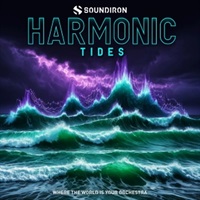 HARMONIC TIDES(オンライン納品)(2時間以内に納品)