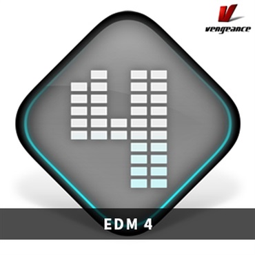 【ベンジェンスサウンドXmas Sale！】EDM 4(オンライン納品)(2時間以内に納品)