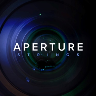 APERTURE STRINGS(オンライン納品)(2時間以内に納品)