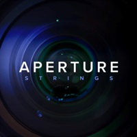 【11日間限定最大半額セール！】APERTURE STRINGS(オンライン納品)(2時間以内に納品)