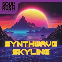 SYNTHWAVE SKYLINE(オンライン納品)(2時間以内に納品)