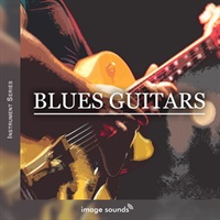 BLUES GUITARS(オンライン納品)(2時間以内に納品)
