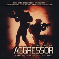 AGGRESSOR
