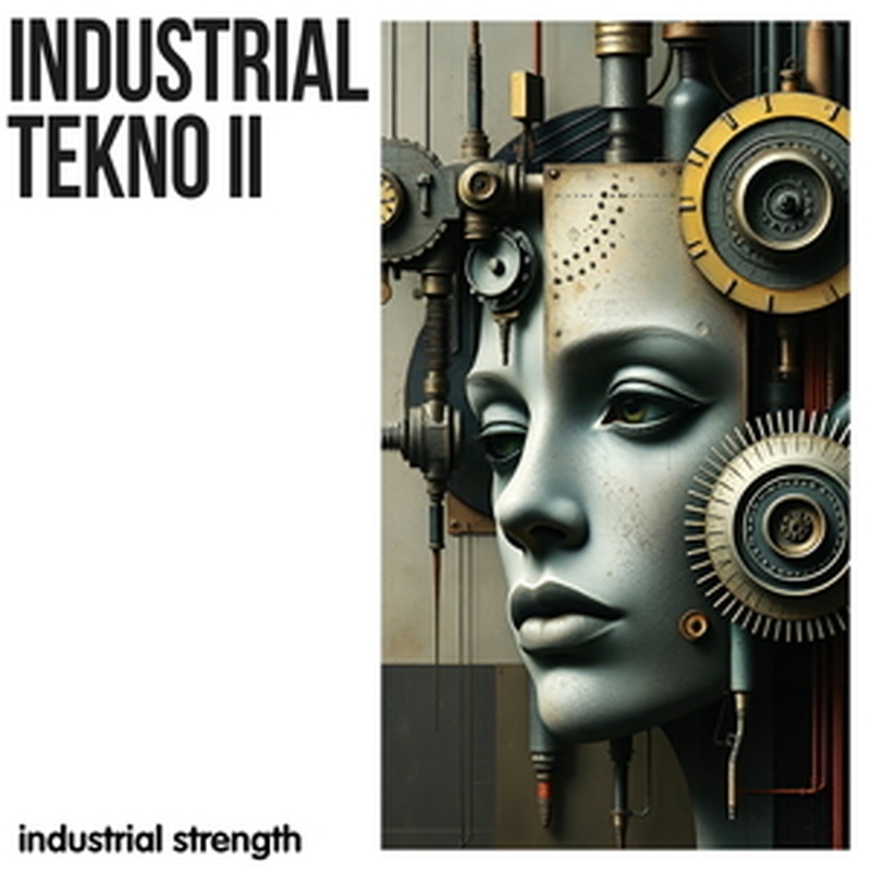 INDUSTRIAL STRENGTH INDUSTRIAL TEKNO 2(オンライン納品)(2時間以内に納品)