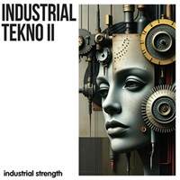 INDUSTRIAL TEKNO 2(オンライン納品)(2時間以内に納品)