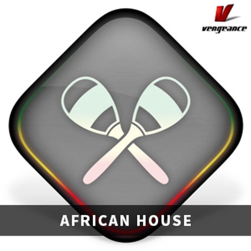 Vengeance Sound 【ベンジェンスサウンドXmas Sale！】AFRICAN HOUSE(オンライン納品)(2時間以内に納品)