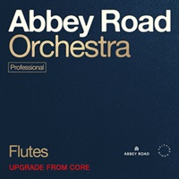 【11日間限定最大半額セール！】ABBEY ROAD ORCHESTRA: FLUTES PRO UPG FROM CORE(オンライン納品)(2時間以内に納品)