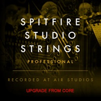 SPITFIRE STUDIO STRINGS PRO UPG FROM CORE(オンライン納品)(2時間以内に納品)