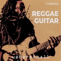 REGGAE GUITAR(オンライン納品)(2時間以内に納品)