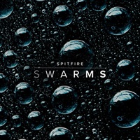 【11日間限定最大半額セール！】SPITFIRE SWARMS(オンライン納品)(2時間以内に納品)